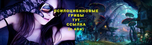 молекула духа Корсаков