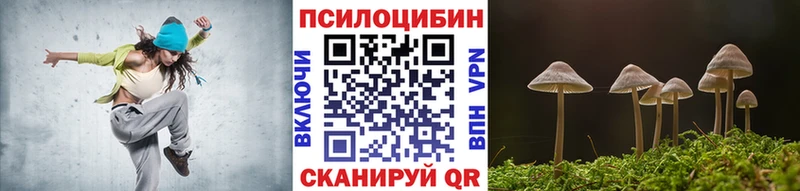 купить наркотики цена  Салаир  Галлюциногенные грибы ЛСД 