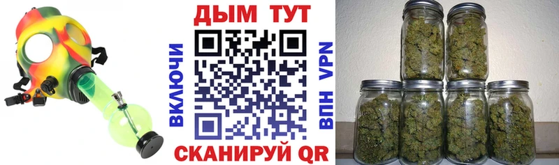 купить   Салаир  МАРИХУАНА план 